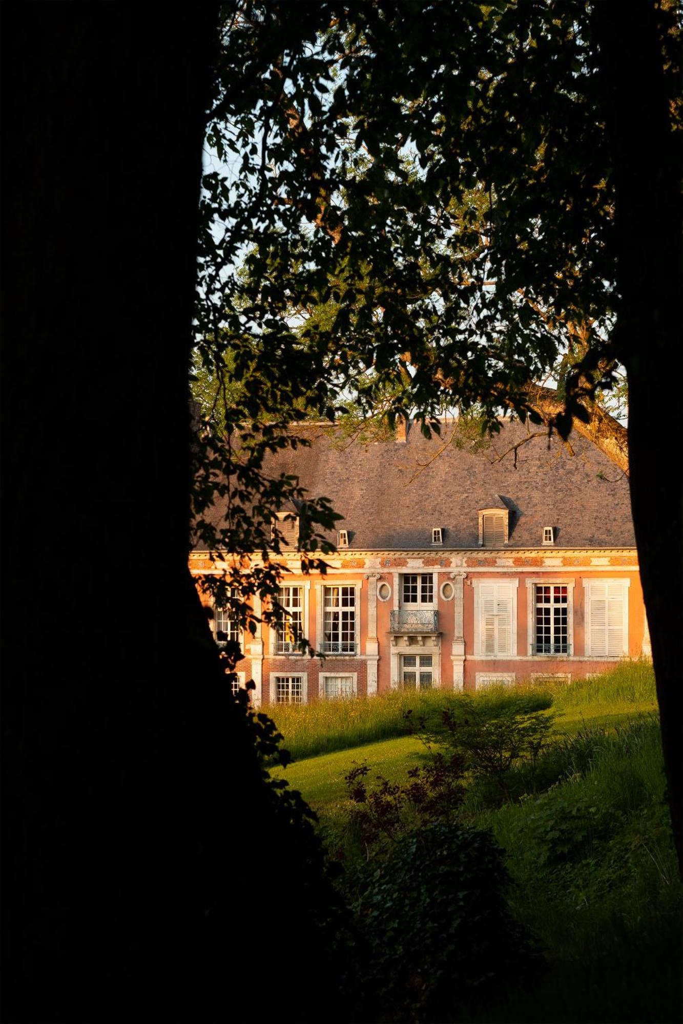 Le Chateau De Bonnemare - Bed And Breakfast Radepont Esterno foto
